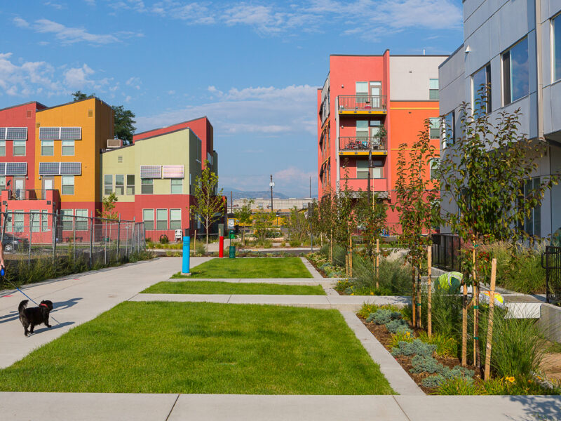 Denver Housing Authority Mariposa Phase IV Norris Design